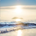 Sea&sunset cd.jpg