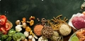 Food_1 cd.jpg
