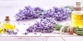 Lavender cd.jpg