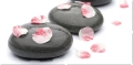 Stones&flowers cd.jpg
