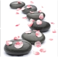 Stones&flowers.jpg