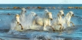 White-horses cd.jpg